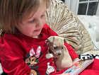 Puppy