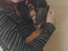 Puppy