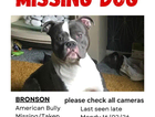 Missing/Stollen