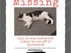 MISSING AVENUE VIVIAN HOUGHTON LE SPRING