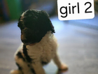 nd girl