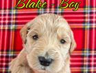 blake