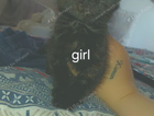 kitten