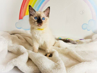 sunshine
