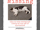 MISSING AVENUE VIVIAN HOUGHTON LE SPRING