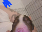 puppy