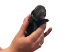 green collar