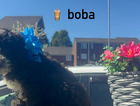 puppy