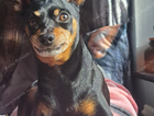 Missing min pin