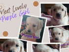 purple girl