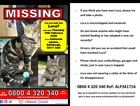Luca missing from broomhouse edinburgh