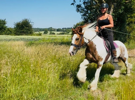 Missy 15&rdquo;2 cob mare