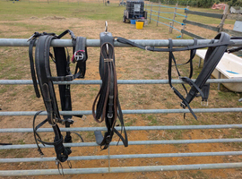 Tedmans cob pairs harness