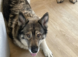 Lexi