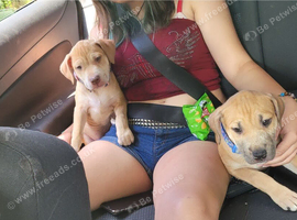 2 gorgeous girls