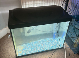 Fish tank 80 litres