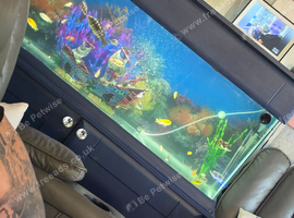 Fish rank aquarium