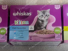 Kitten Equipment For Sale
