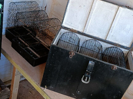 Show/training cages