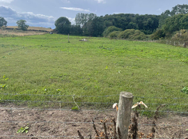 3.4 acres of grazing land in Chester le street