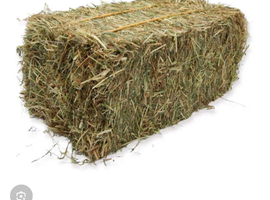 Hay wanted