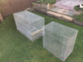 Chinchilla cages