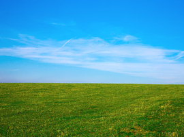 Looking for 5 acres of grazing to rent