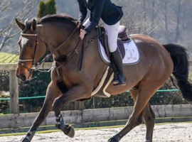 Schoolmaster