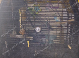 Bird cage