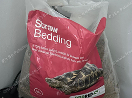 Tortoise bedding and reptile bulb