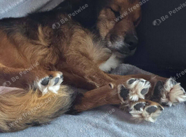 Retirement home needed for Huxley