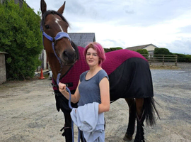 10 year old mare
