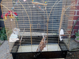 Bird cage