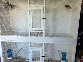 Flight cage