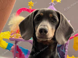 Ronnie 18months old