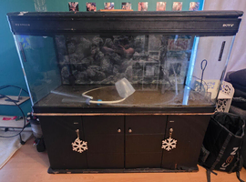 Boyu fish tank 530 litre