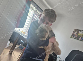 7 months old female cross