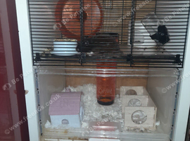With cage