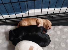 For sale