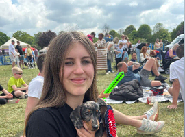 Beautiful dapple miniature Dashund