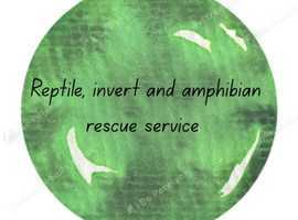 Reptile, invert and amphibian rescue service
