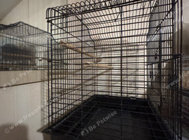 Bird cage