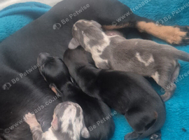 3 boys and 4 girls