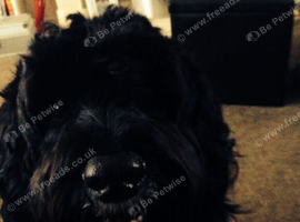 Oscar