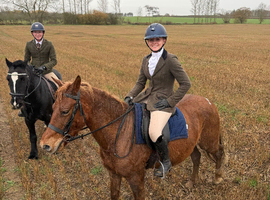 Texas &ndash; 14hh 13yo Mare &ndash; Fun, Brave & Full of Potential  Based Wickford Essex