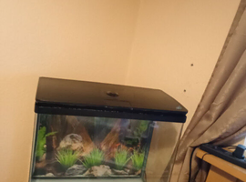 72 litre fish tank for sale &pound;40