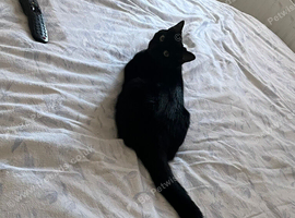 For sale