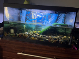 Turtle/fish tank