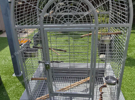 Large bird cage