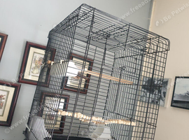 Parrot cage